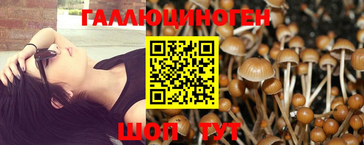 Орёл  Галлюциногенные грибы Psilocybine cubensis  купить наркоту  Галлюциногенные грибы мицелий  Вход с VPN 
