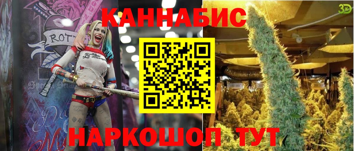 Бошки Шишки гибрид  Вход с VPN  Орёл  МАРИХУАНА планчик  Марихуана сатива 